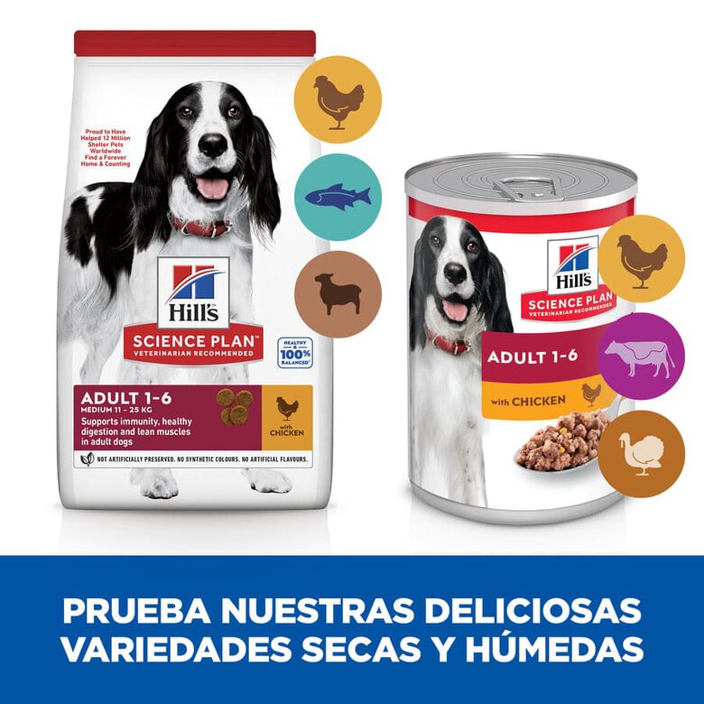 Hill's Science Plan Adult Medium Pollo pienso para perros, , large image number null